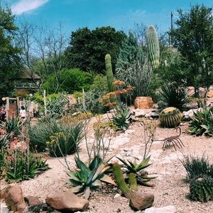 Meet your Posher, Rylee